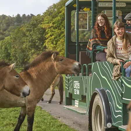 Vakantiestudio Ciney