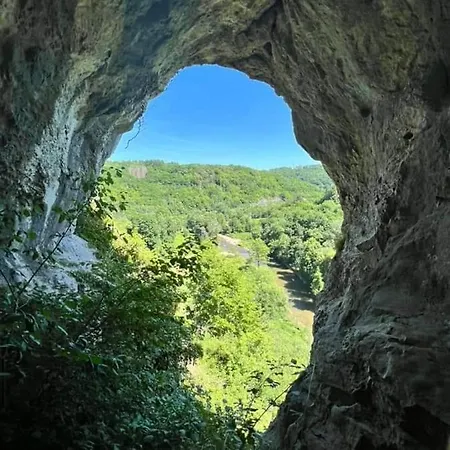 Vakantiestudio Ciney 아파트 *