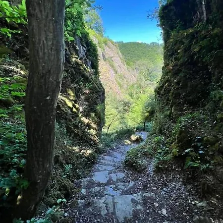 Διαμέρισμα Vakantiestudio Ciney *